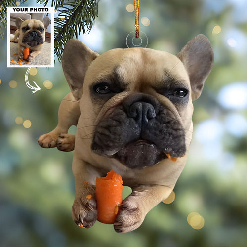 Gluttony Puppy - Personalized Photo Mica Ornament - Christmas Gift For Dog Lovers, Dog Owners