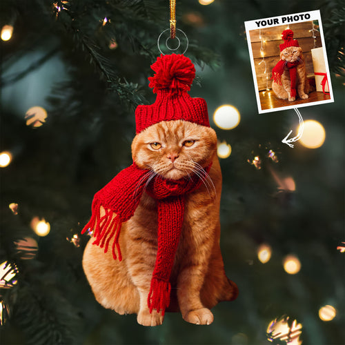 Cuddle Cat - Personalized Photo Mica Ornament - Christmas Gift For Cat Lovers, Cat Owners