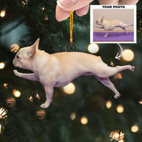 Puppy Pose Pro - Personalized Photo Mica Ornament - Christmas Gift For Dog Lovers, Pet Owners