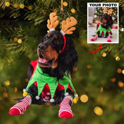 Snowy Smiles - Personalized Photo Mica Ornament - Gift For Pet Lovers, Pet Owners, Family Members