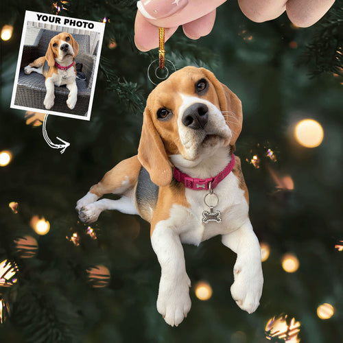 Curious Beagle - Personalized Photo Mica Ornament - Gift For Dog Lovers, Dog Owners