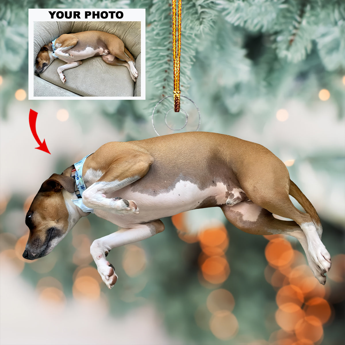 Best in Show - Personalized Photo Mica Ornament - Christmas Gift For Dog Lovers