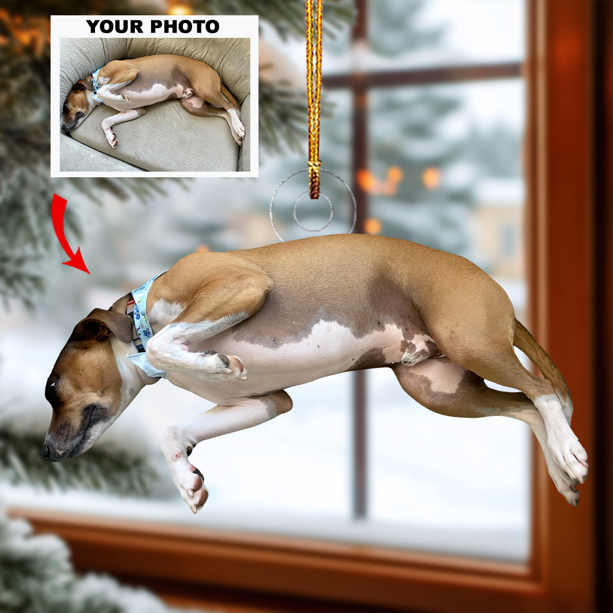 Best in Show - Personalized Photo Mica Ornament - Christmas Gift For Dog Lovers