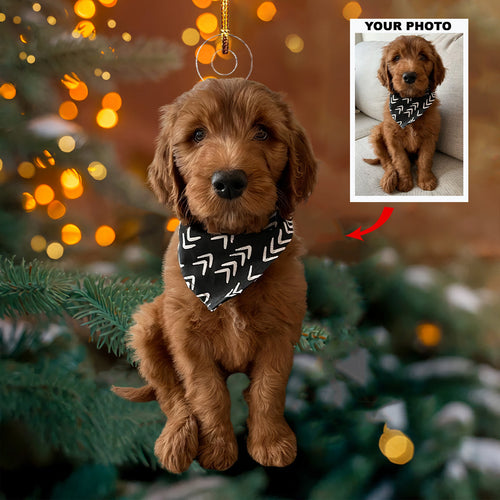 Cuddle Canines - Personalized Photo Mica Ornament - Christmas Gift For Dog Lovers