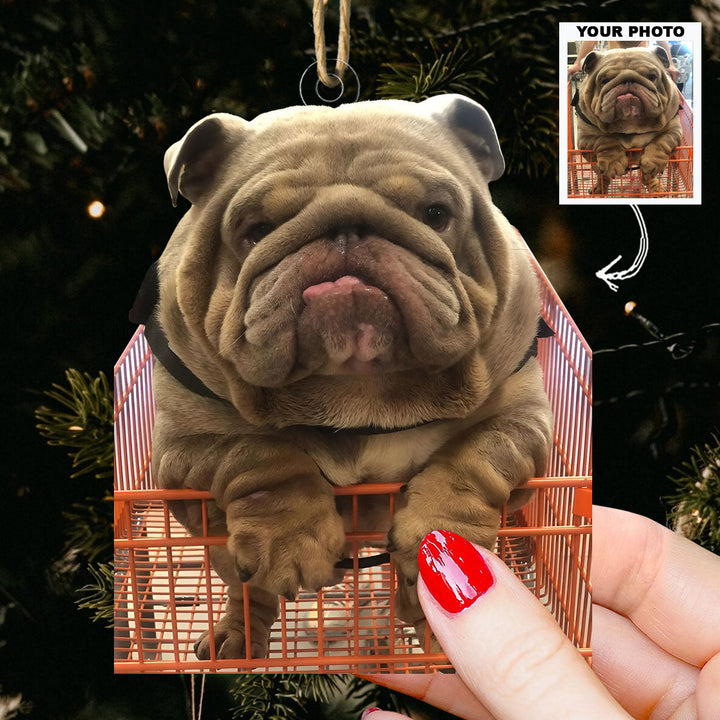 Furry Companion - Personalized Photo Mica Ornament - Christmas Gift For Dog Lovers, Dog Owners