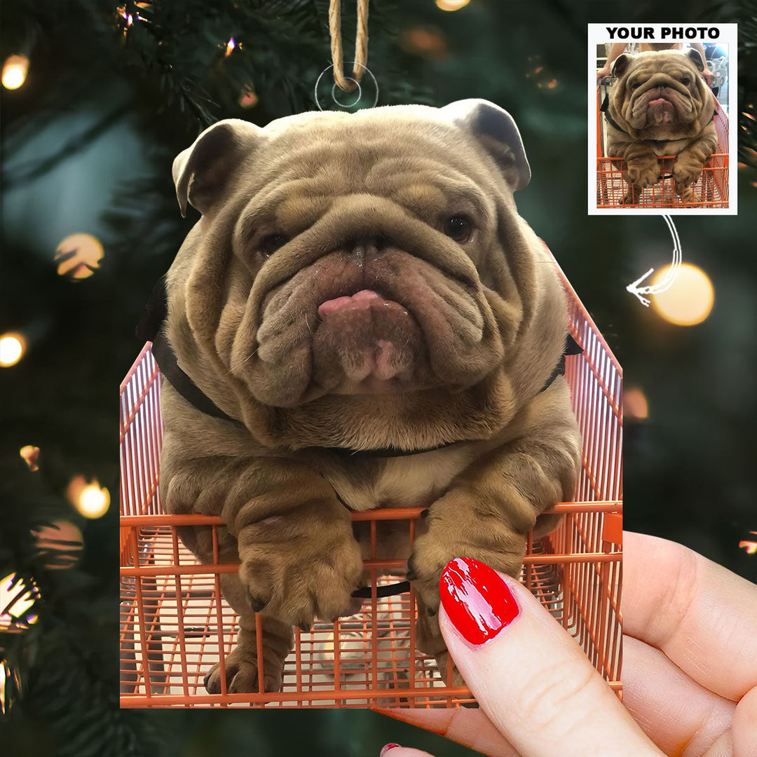 Furry Companion - Personalized Photo Mica Ornament - Christmas Gift For Dog Lovers, Dog Owners