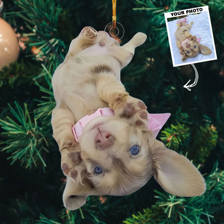 Little Paws Big Heart - Personalized Photo Mica Ornament - Christmas Gift For Dog Lovers, Dog Owners