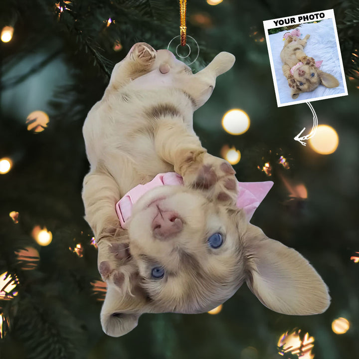 Little Paws Big Heart - Personalized Photo Mica Ornament - Christmas Gift For Dog Lovers, Dog Owners