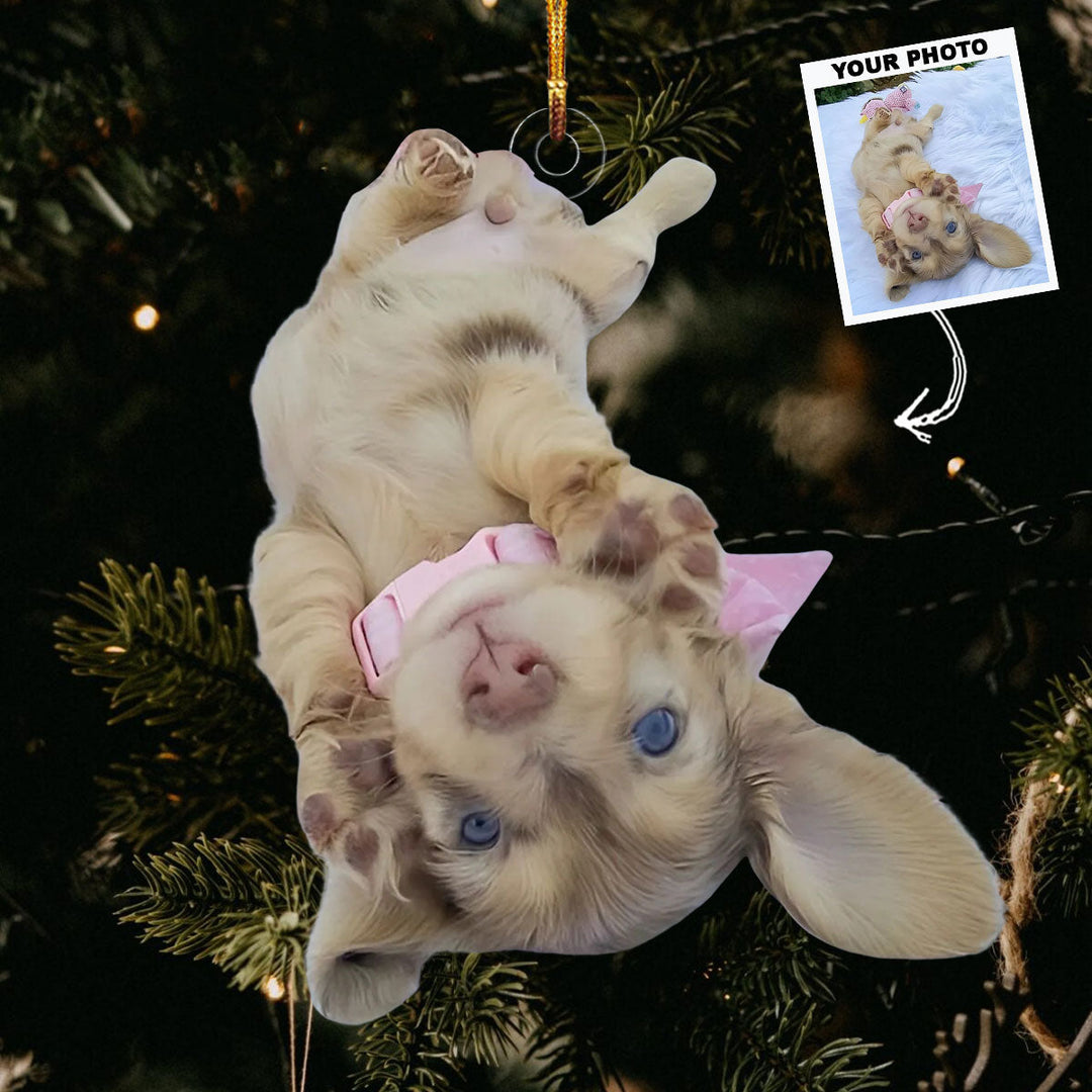 Little Paws Big Heart - Personalized Photo Mica Ornament - Christmas Gift For Dog Lovers, Dog Owners