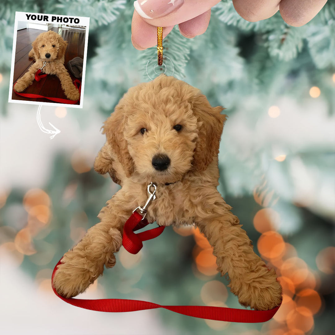 Toy Puppy - Personalized Photo Mica Ornament - Christmas Gift For Dog Lovers, Dog Owners