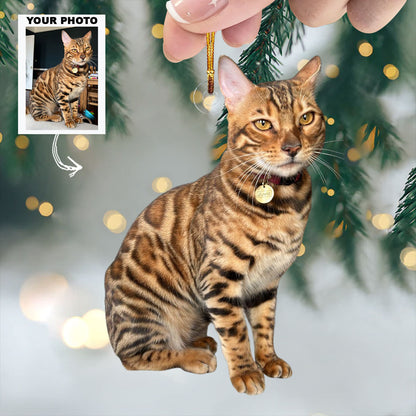 Paws And Whiskers - Personalized Photo Mica Ornament - Christmas Gift For Cat Lovers, Cat Owners