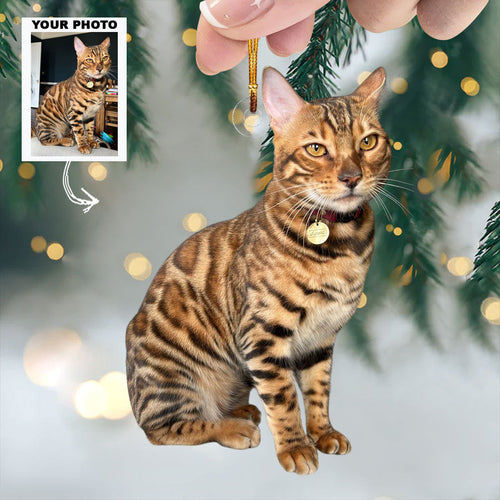 Paws And Whiskers - Personalized Photo Mica Ornament - Christmas Gift For Cat Lovers, Cat Owners