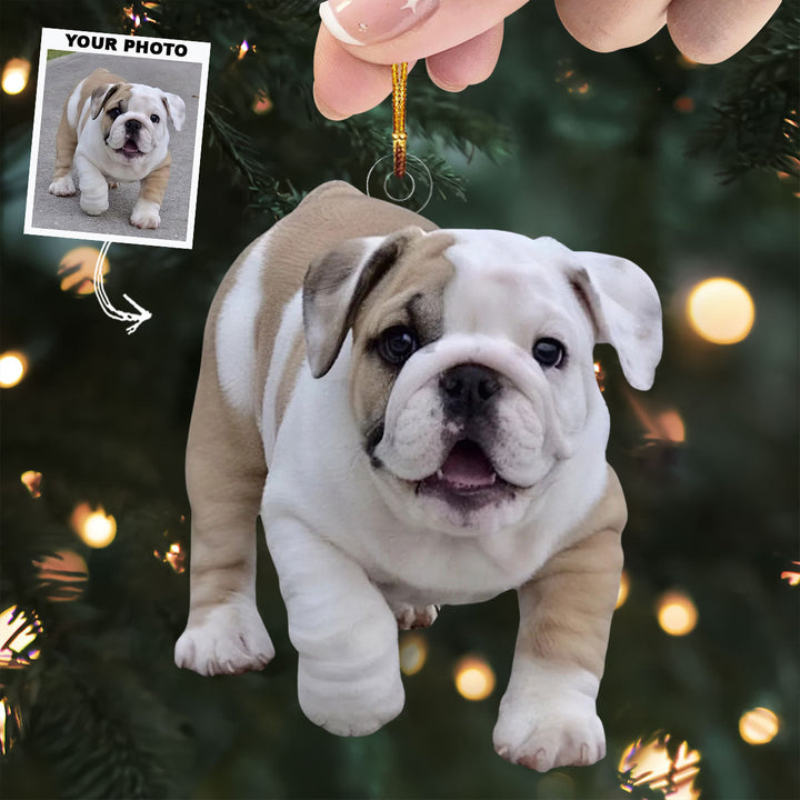 Best Pal - Personalized Photo Mica Ornament - Christmas Gift For Dog Lovers, Dog Owners