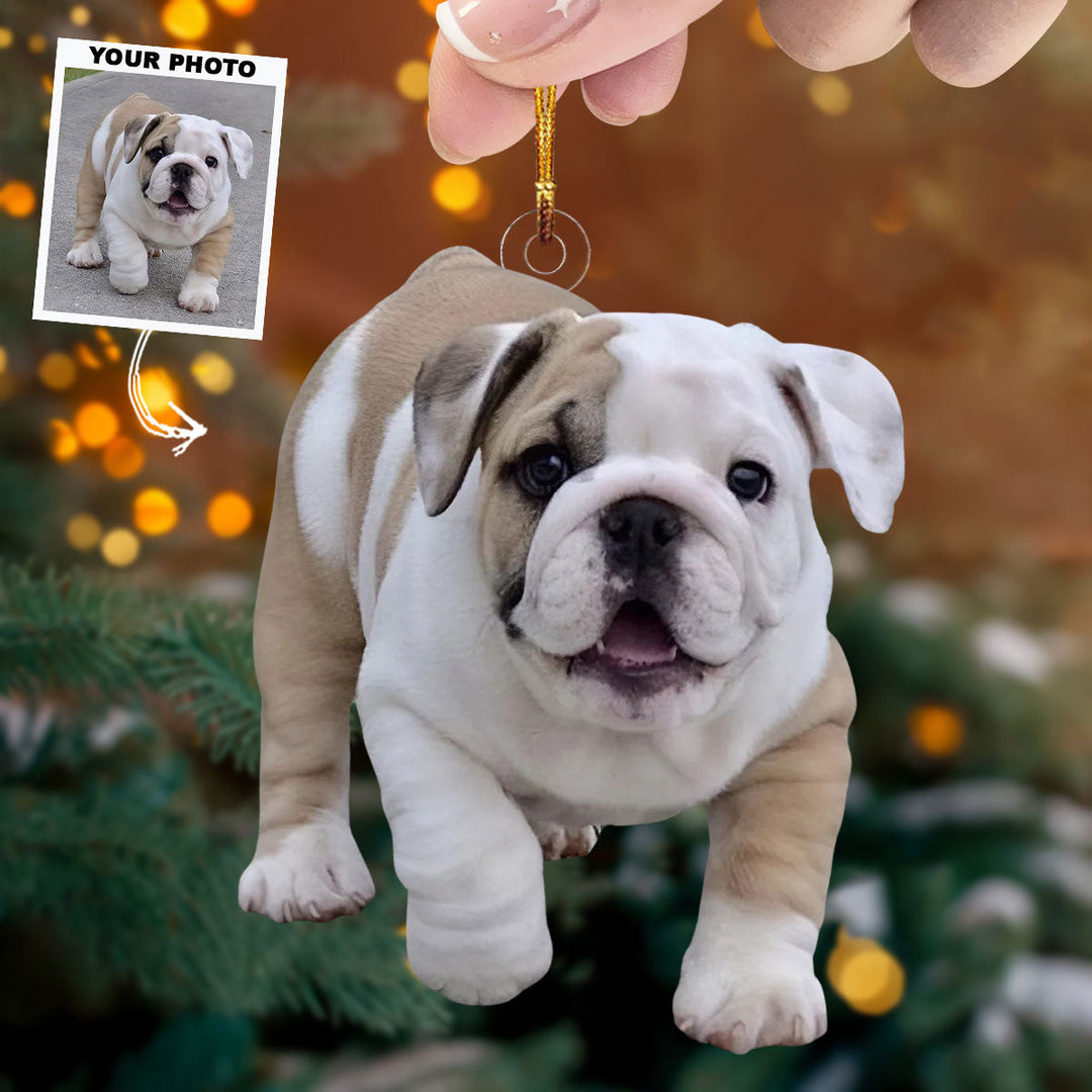 Best Pal - Personalized Photo Mica Ornament - Christmas Gift For Dog Lovers, Dog Owners