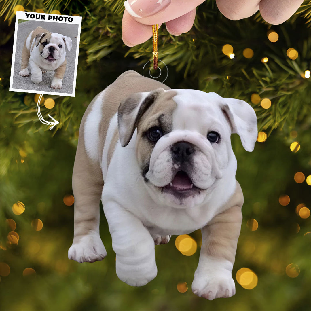 Best Pal - Personalized Photo Mica Ornament - Christmas Gift For Dog Lovers, Dog Owners