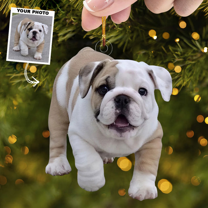 Best Pal - Personalized Photo Mica Ornament - Christmas Gift For Dog Lovers, Dog Owners