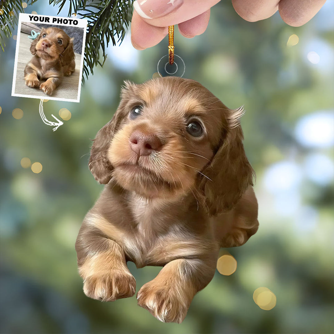 Puppy Love - Personalized Photo Mica Ornament - Christmas Gift For Dog Lovers, Dog Owners