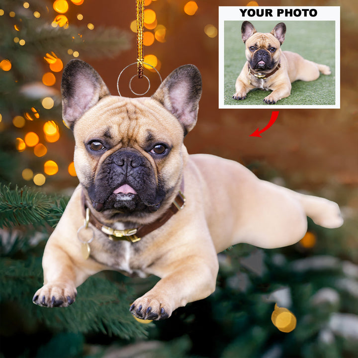 Pawsitive Vibes Only - Personalized Photo Mica Ornament - Christmas Gift For Dog Lovers, Dog Owners