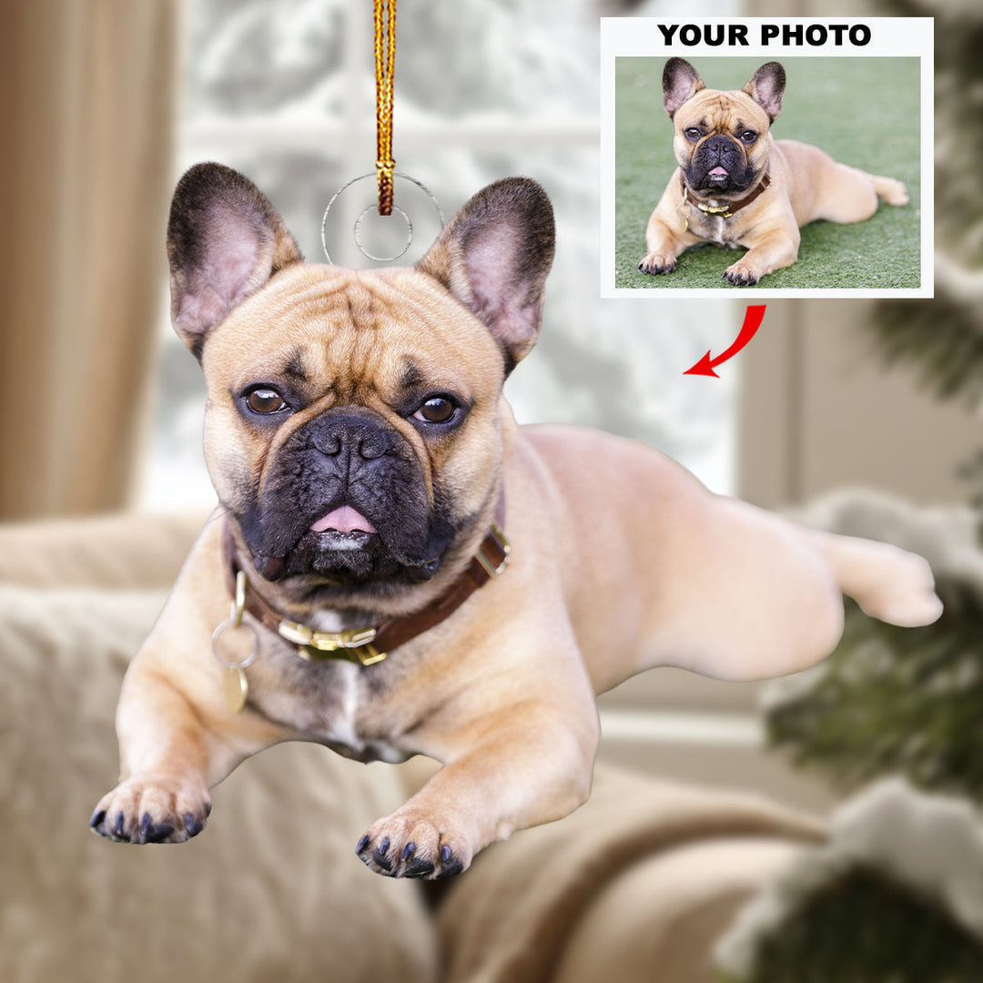 Pawsitive Vibes Only - Personalized Photo Mica Ornament - Christmas Gift For Dog Lovers, Dog Owners