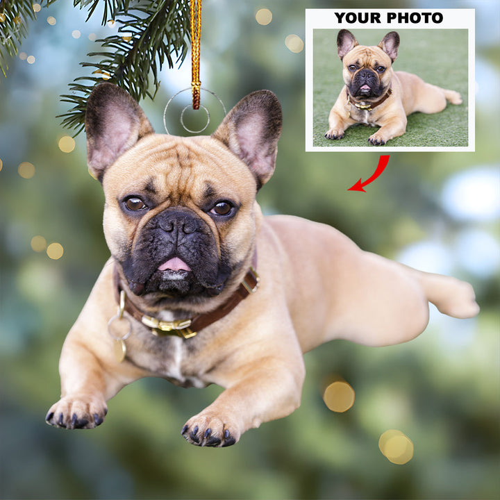 Pawsitive Vibes Only - Personalized Photo Mica Ornament - Christmas Gift For Dog Lovers, Dog Owners