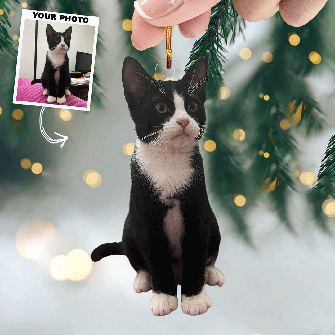Meowy Christmas - Personalized Photo Mica Ornament - Christmas Gift For Pet Lovers, Dog Lovers, Cat Lovers