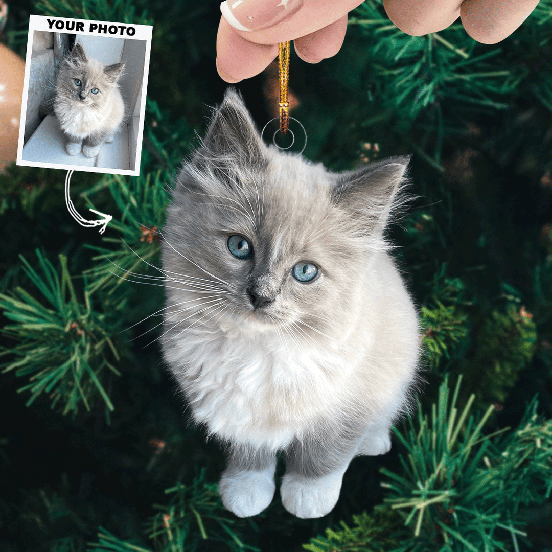 Purrfect Holiday - Personalized Photo Mica Ornament - Christmas Gift For Pet Lovers, Dog Lovers, Cat Lovers