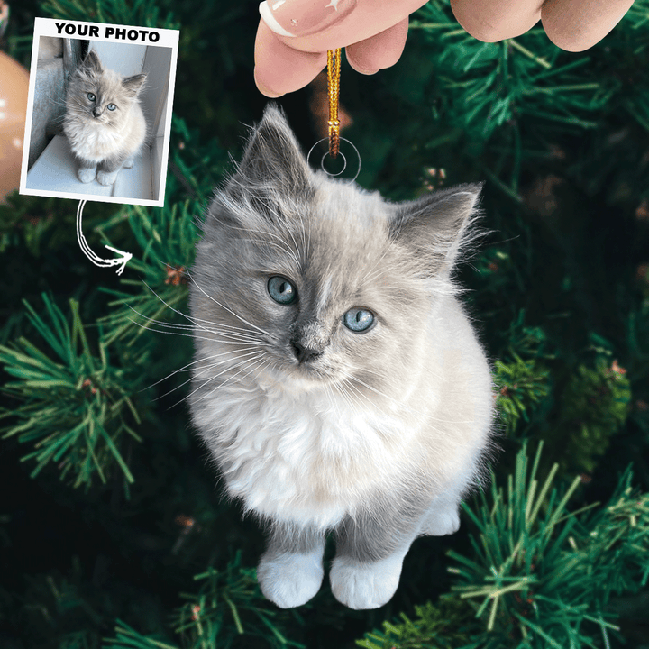 Purrfect Holiday - Personalized Photo Mica Ornament - Christmas Gift For Pet Lovers, Dog Lovers, Cat Lovers