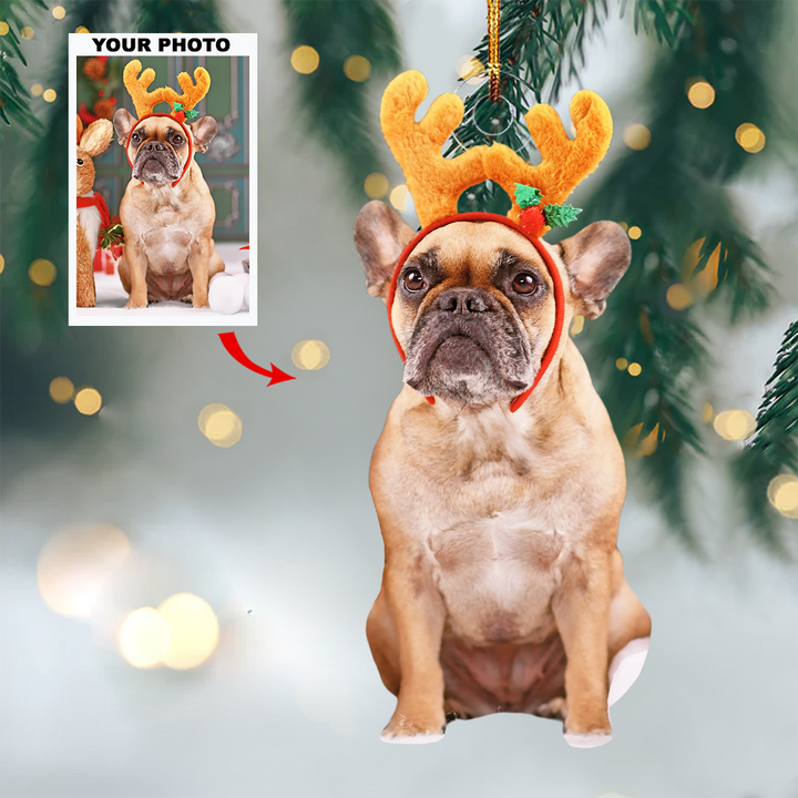 Merry Mascots - Personalized Photo Mica Ornament - Christmas Gift For Pet Lovers, Pet Owners