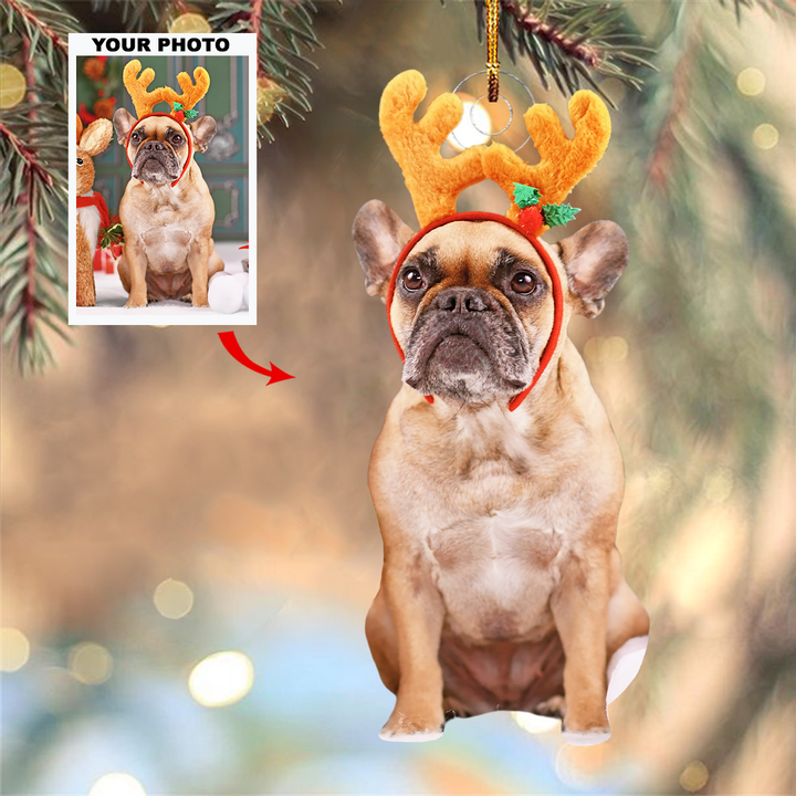 Merry Mascots - Personalized Photo Mica Ornament - Christmas Gift For Pet Lovers, Pet Owners