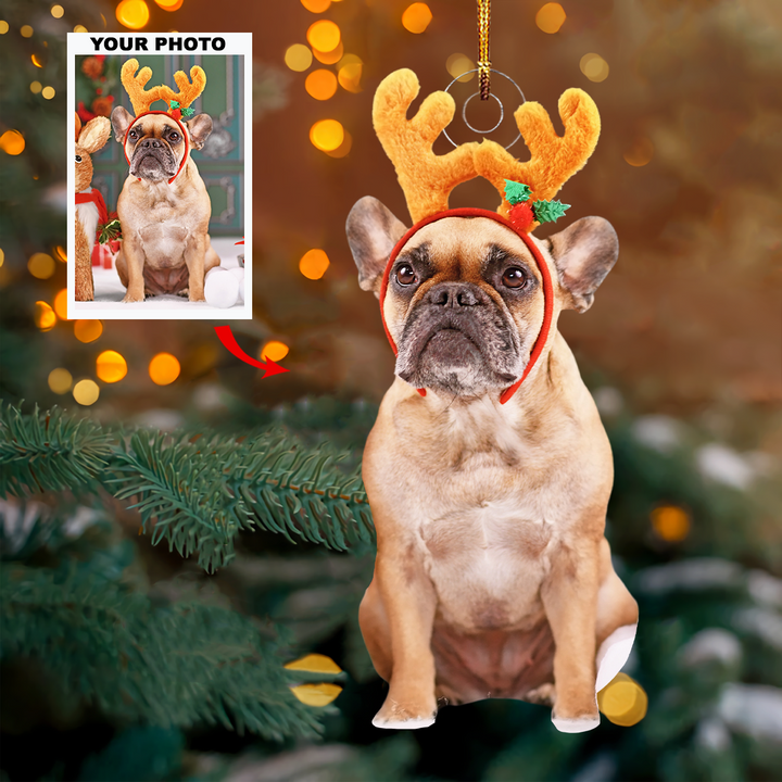 Merry Mascots - Personalized Photo Mica Ornament - Christmas Gift For Pet Lovers, Pet Owners