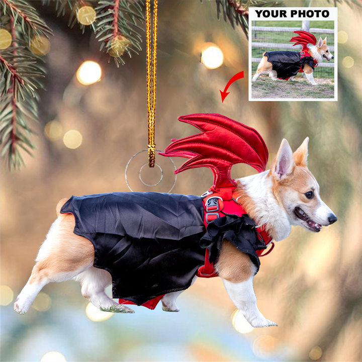 Paws Of Joy - Personalized Photo Mica Ornament - Christmas Gift For Pet Lovers, Pet Owners