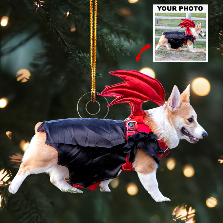 Paws Of Joy - Personalized Photo Mica Ornament - Christmas Gift For Pet Lovers, Pet Owners