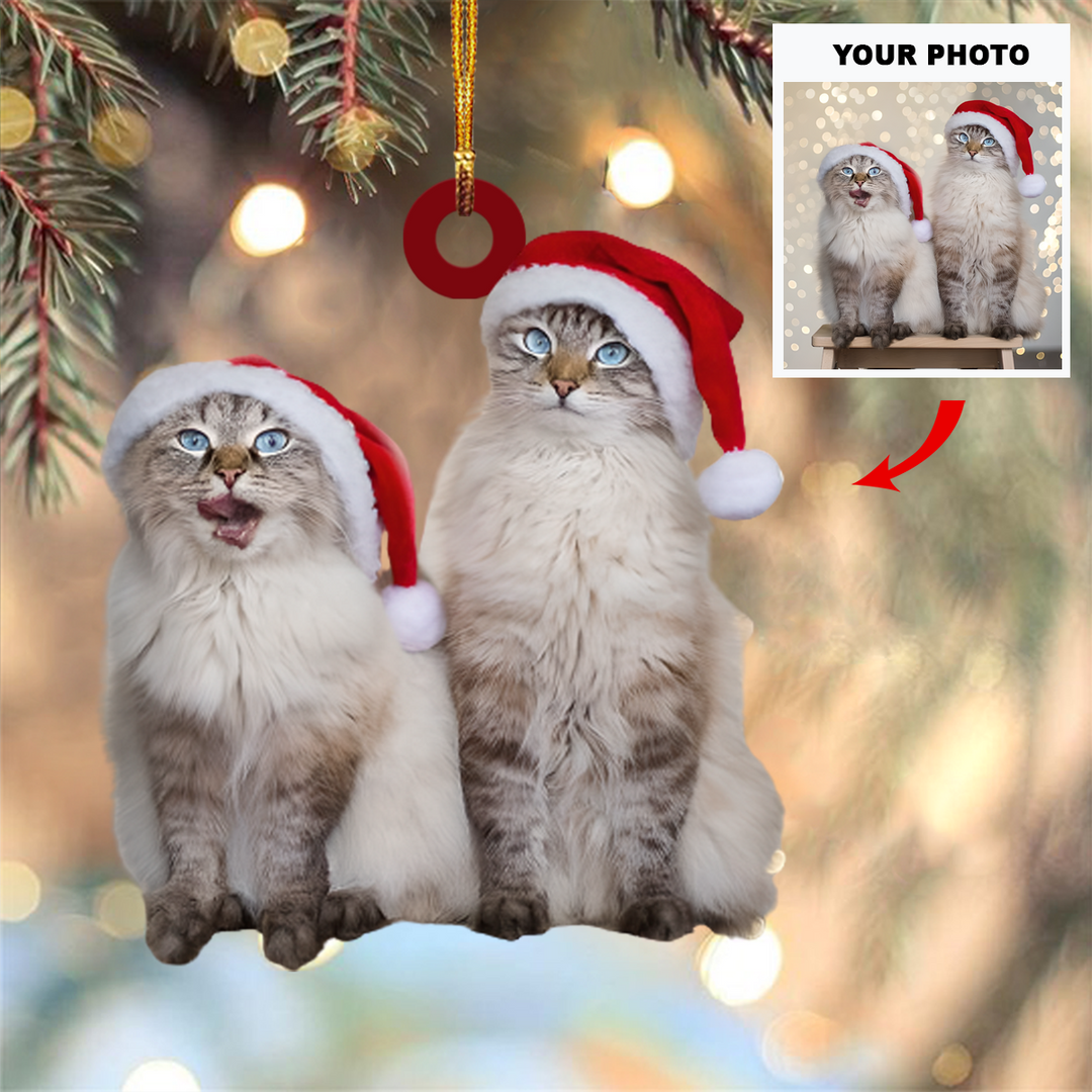 Personalized Photo Mica Ornament - Gift For Cat Lover - Cats Christmas Photo ARND037