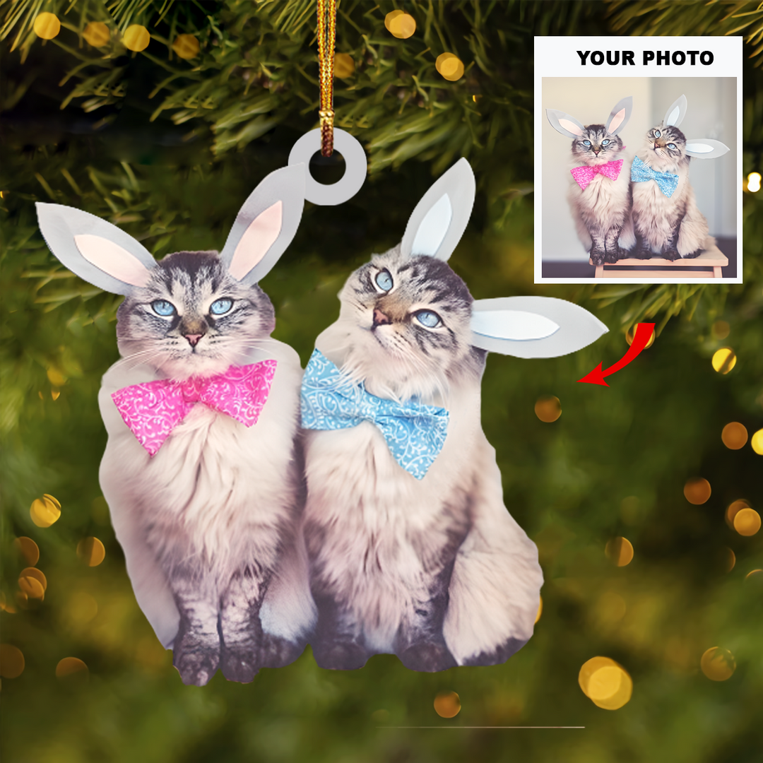 Personalized Photo Mica Ornament - Gift For Cat Lover - Cats Christmas Photo ARND037