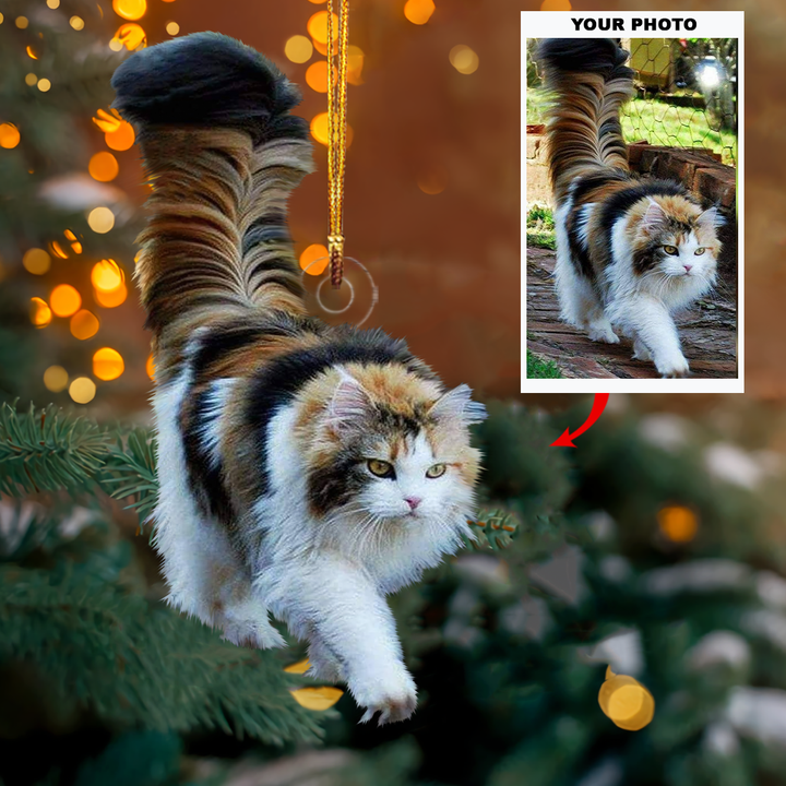 Personalized Photo Mica Ornament - Gift For Pet Lover - Customized Your Photo Ornament V19 ARND0014