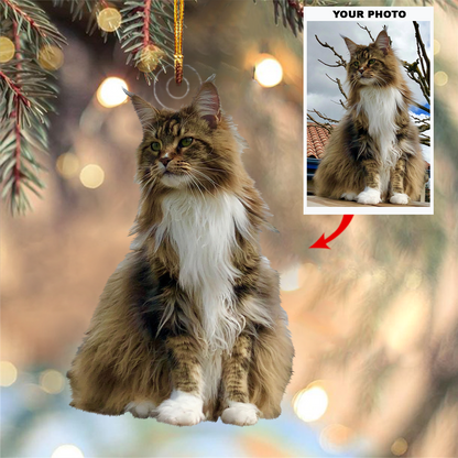 Personalized Photo Mica Ornament - Gift For Pet Lover - Customized Your Photo Ornament V19 ARND0014
