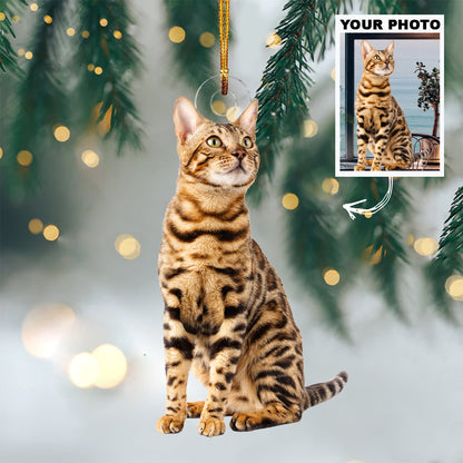 Personalized Photo Mica Ornament - Christmas, Birthday Gift For Pet Mom, Pet Dad, Cat Mom, Cat Dad, Dog Mom, Dog Dad, Cat Parents  -  Customized Your Photo Ornament