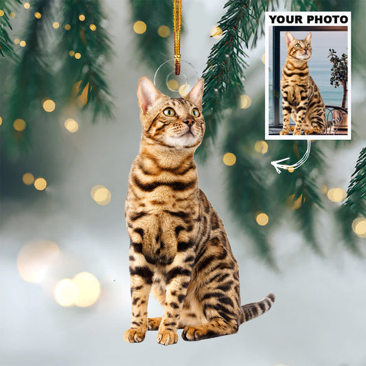 Personalized Photo Mica Ornament - Christmas, Birthday Gift For Pet Mom, Pet Dad, Cat Mom, Cat Dad, Dog Mom, Dog Dad, Cat Parents  -  Customized Your Photo Ornament