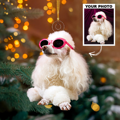 Personalized Photo Mica Ornament - Christmas, Birthday Gift For Family Member, Mom, Dad, Brother, Sister - Customized Your Photo Ornament V3