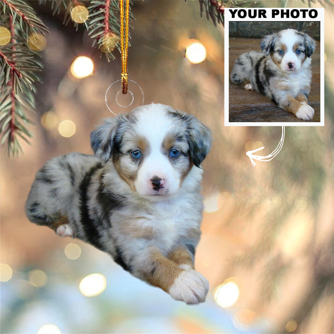 Personalized Photo Mica Ornament - Christmas Gift For Family Member, Friends -  Customized Your Photo Ornament Dog Ornament