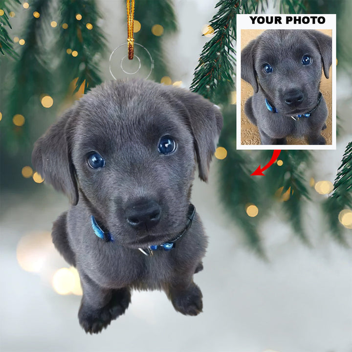 Customized Photo Ornament Christmas Pet - Personalized Photo Mica Ornament - Christmas Gift For Pet Lovers