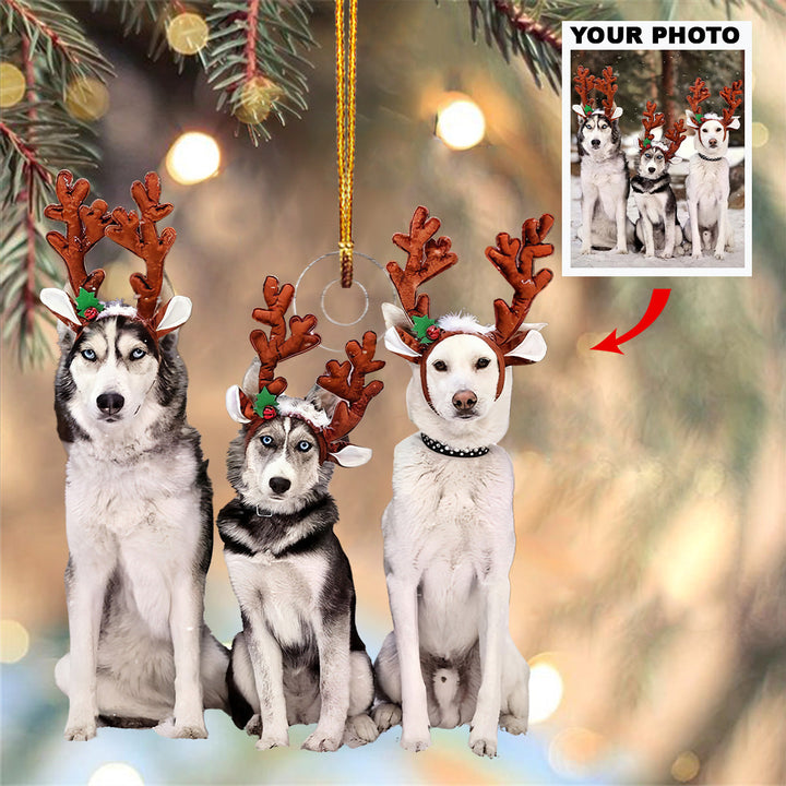 Winter Pack - Personalized Photo Mica Ornament - Christmas Gift For Pet Lovers, Dog Lovers