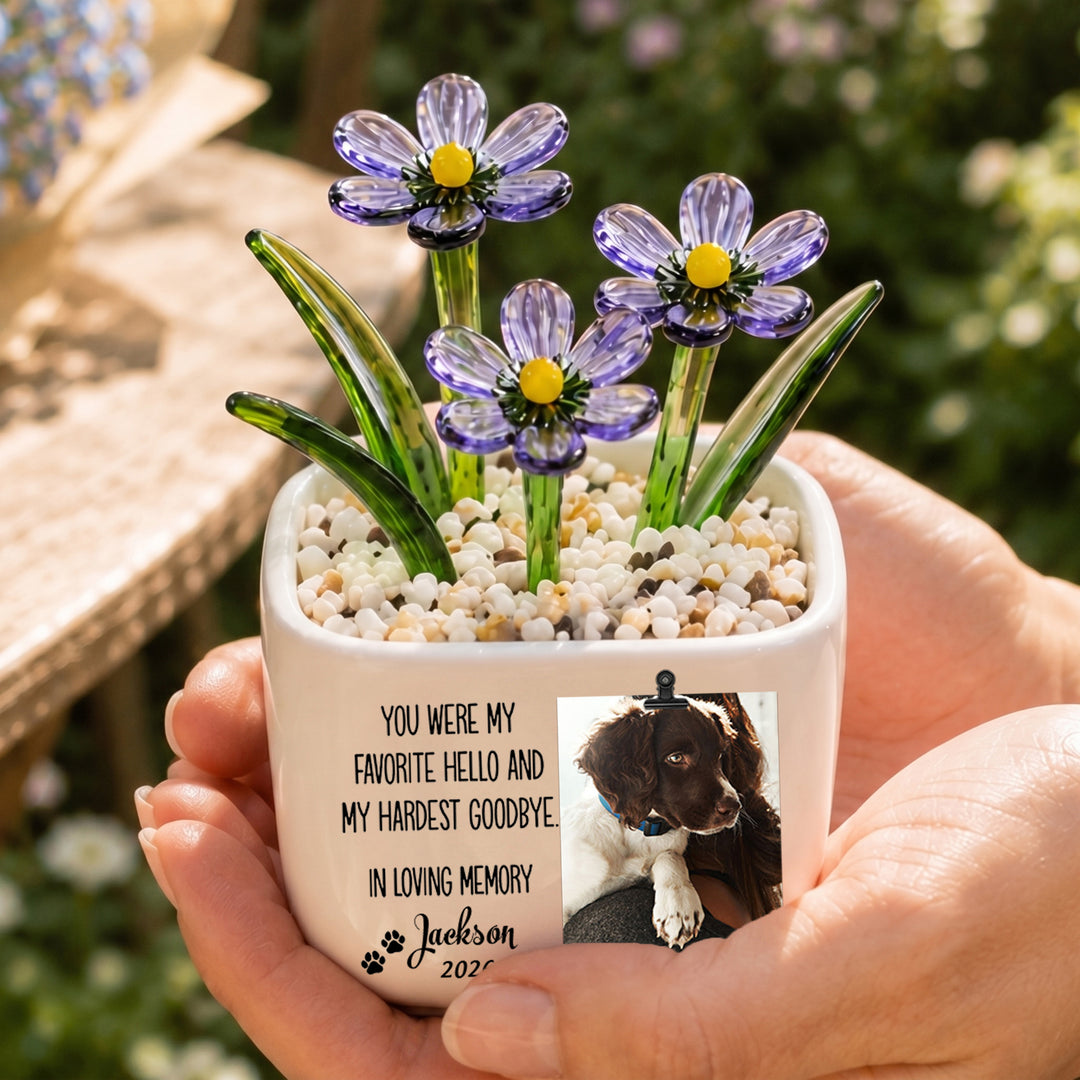 My Favorite Hello, My Hardest Goodbye- Personalized Pet Memorial Flower Pot - Gift For Dog Lover, Cat Lover