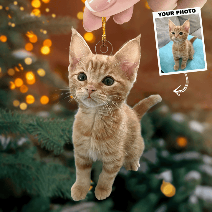Catnip Christmas - Personalized Photo Mica Ornament - Christmas Gift For Cat Lovers, Cat Owners