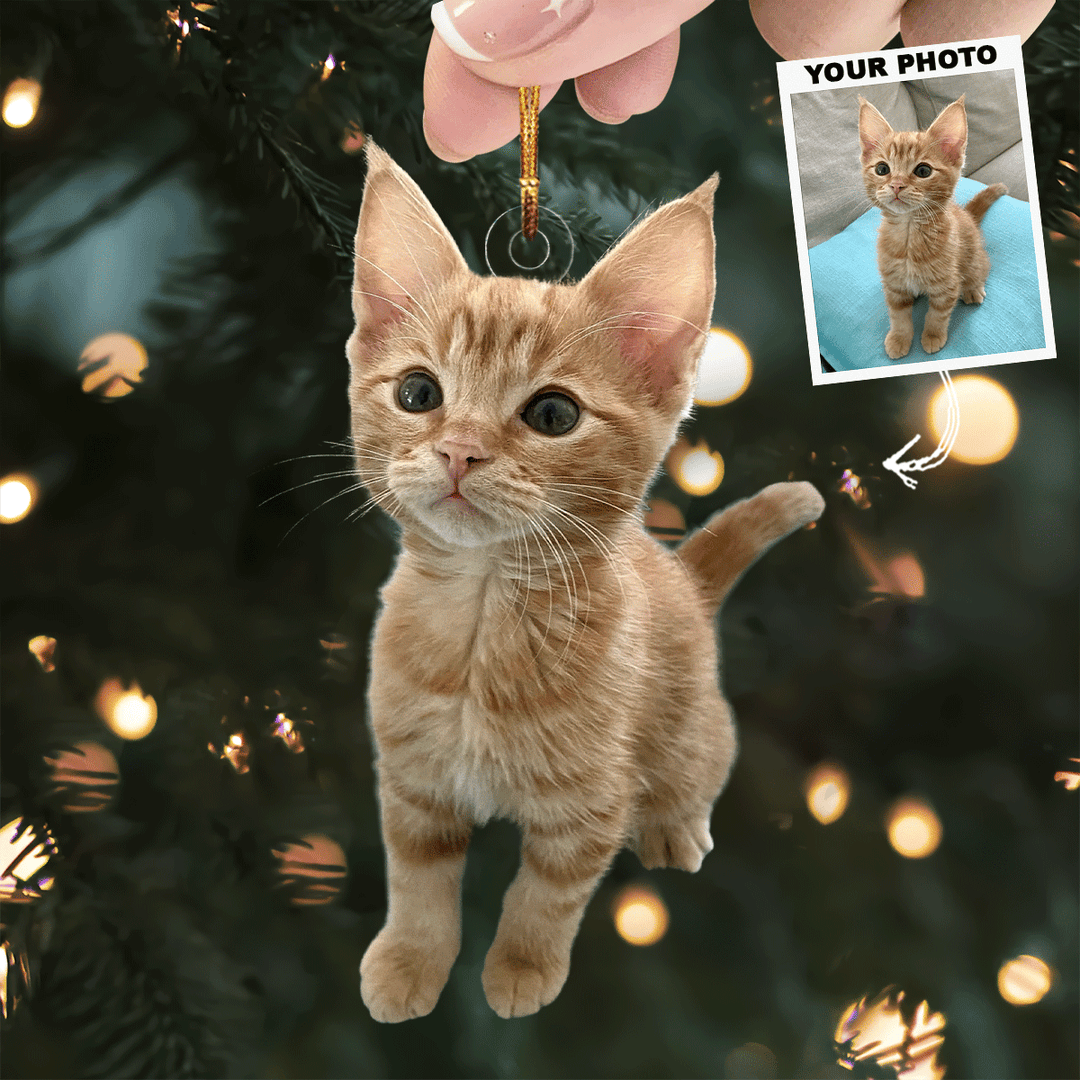 Catnip Christmas - Personalized Photo Mica Ornament - Christmas Gift For Cat Lovers, Cat Owners