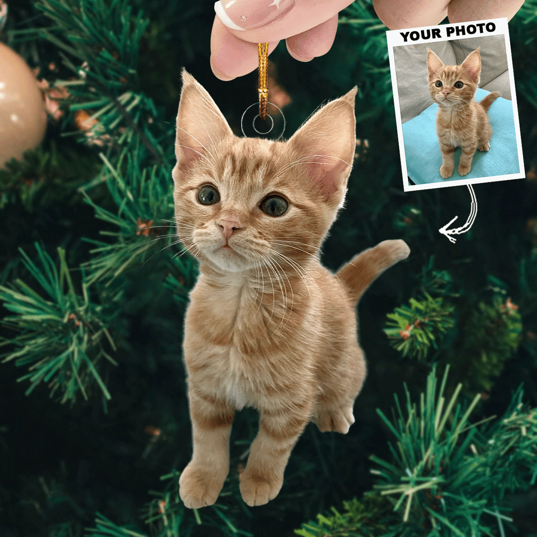 Catnip Christmas - Personalized Photo Mica Ornament - Christmas Gift For Cat Lovers, Cat Owners