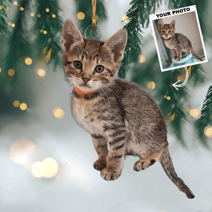 Feline Festivities - Personalized Photo Mica Ornament - Christmas Gift For Cat Lovers, Cat Owners