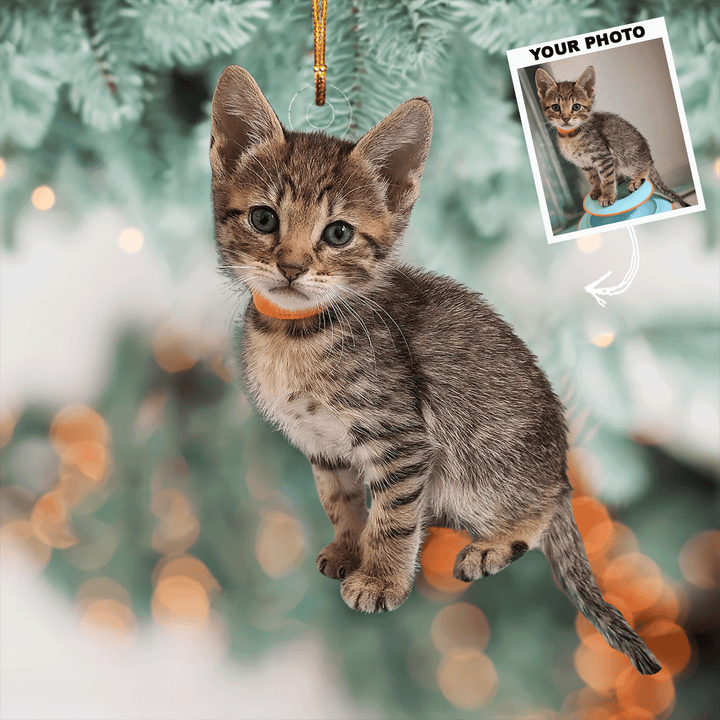 Feline Festivities - Personalized Photo Mica Ornament - Christmas Gift For Cat Lovers, Cat Owners