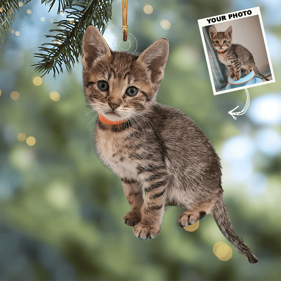 Feline Festivities - Personalized Photo Mica Ornament - Christmas Gift For Cat Lovers, Cat Owners
