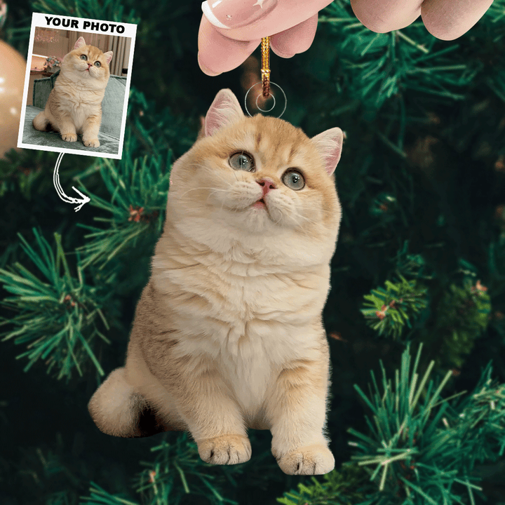 Festive Furball - Personalized Photo Mica Ornament - Christmas Gift For Cat Lovers, Cat Owners